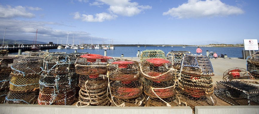 Seafood from fishing boats, Apollo Bay, Great Ocean Road