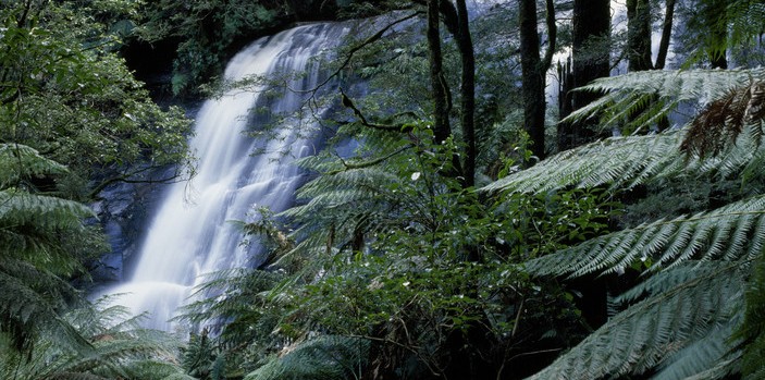 Triplet Falls Otway Ranges