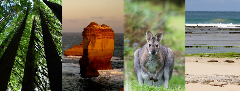 Great Ocean Road Photography 