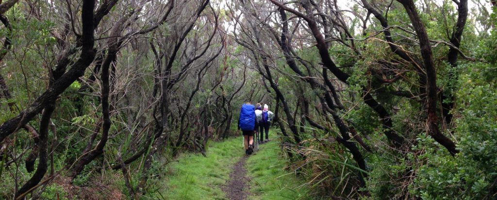 Great Ocean Walk 