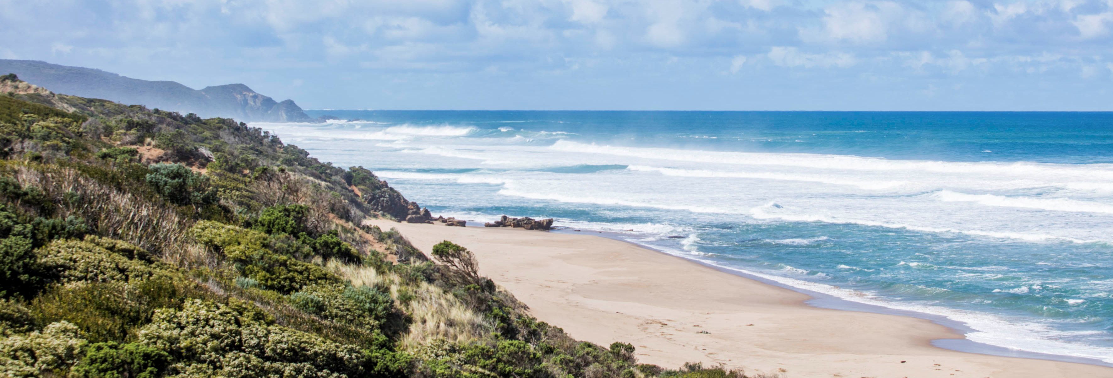Summer Events On The Great Ocean Road
